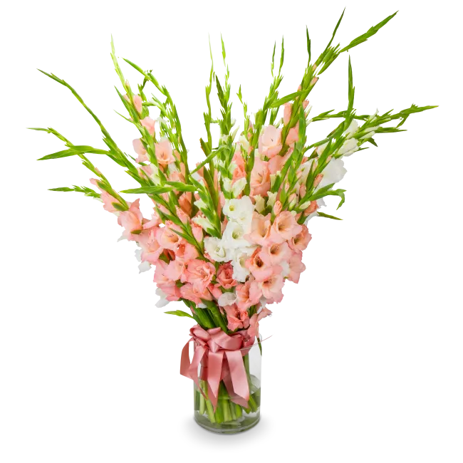 Bouquet of gladiols